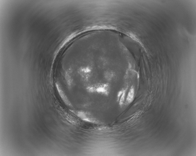 X0000055981173200509162217