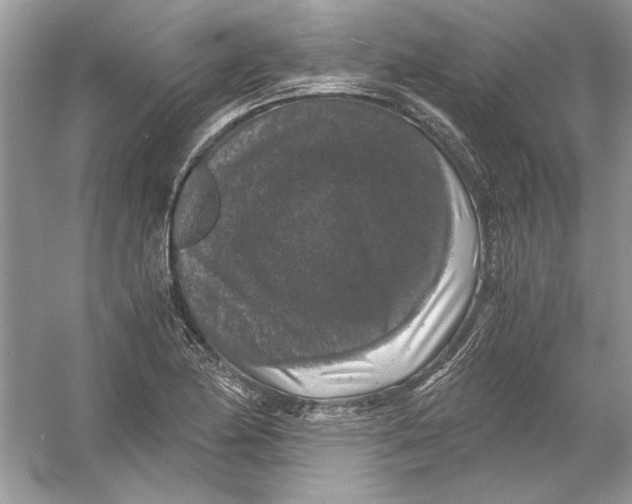 X0000055981174200509162217