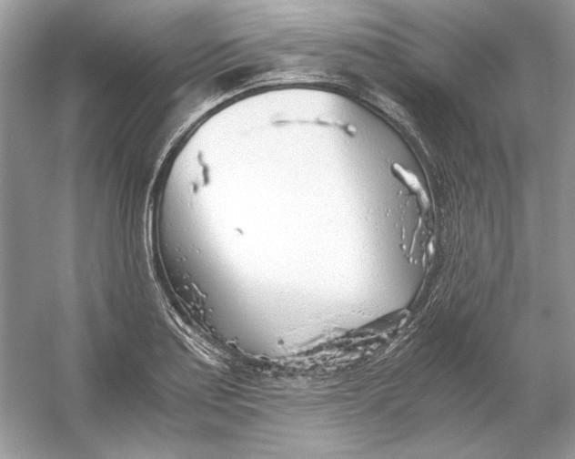 X0000055981179200509162217