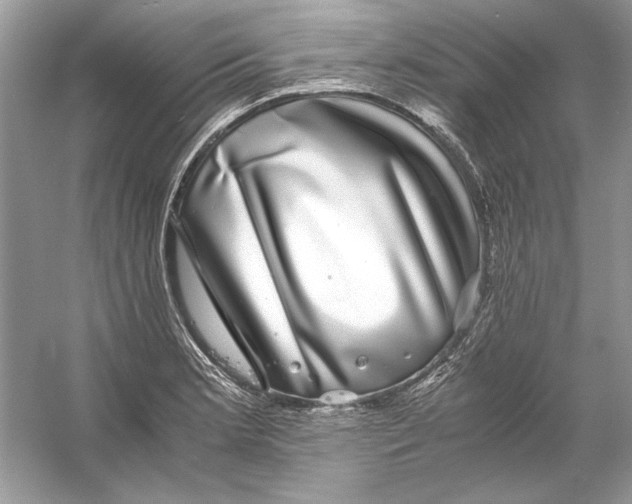 X0000055981181200509162217