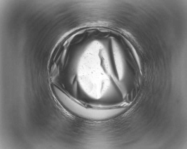 X0000055981184200509162217