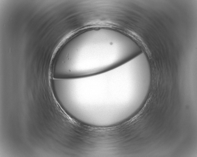 X0000055981188200509162217