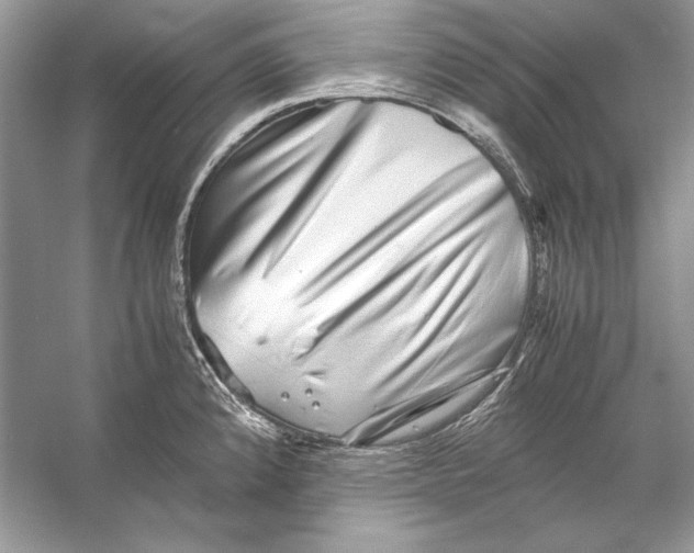 X0000055981192200509162217