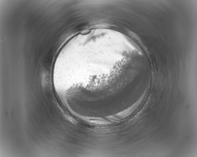 X0000055981194200509162217