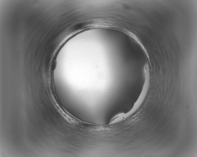 X0000055981195200509162217