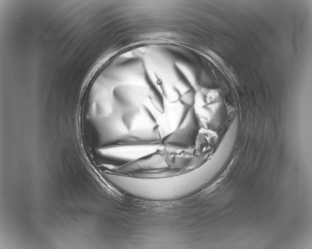 X0000055981196200509162217