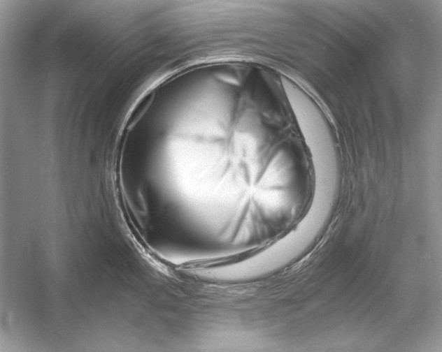 X0000055981197200509162217