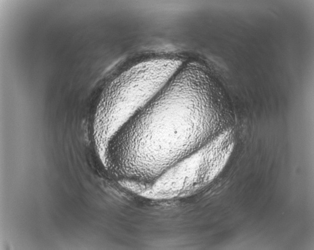 X0000055981205200509162216