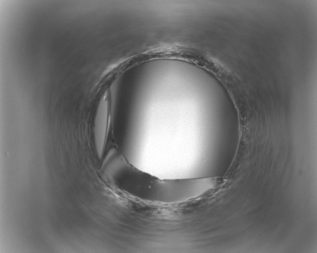 X0000055981206200509162216