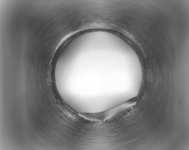 X0000055981222200509162216