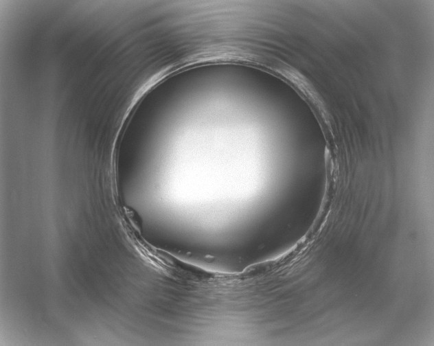 X0000055981242200509162217