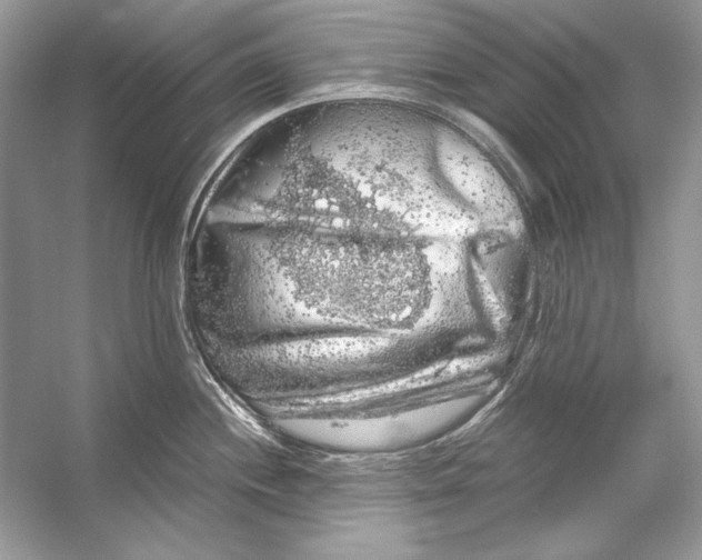 X0000055981244200509162217