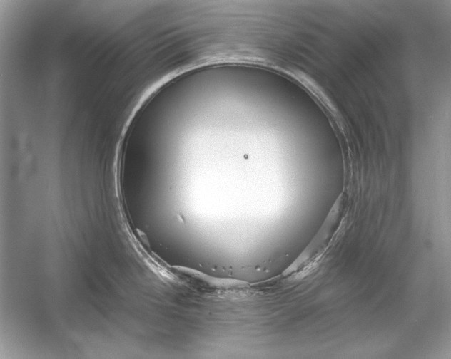 X0000055981246200509162217