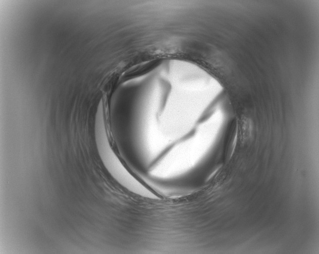 X0000055981250200509162216