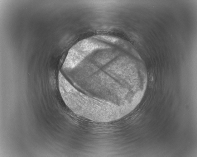 X0000055981252200509162216