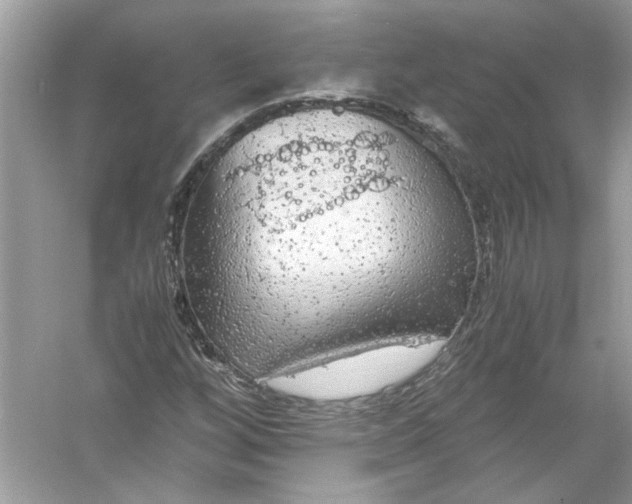 X0000055981256200509162216