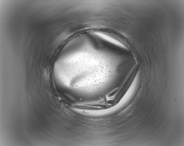 X0000055981257200509162216