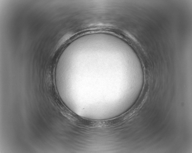 X0000055981259200509162216
