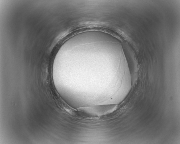 X0000055981261200509162216