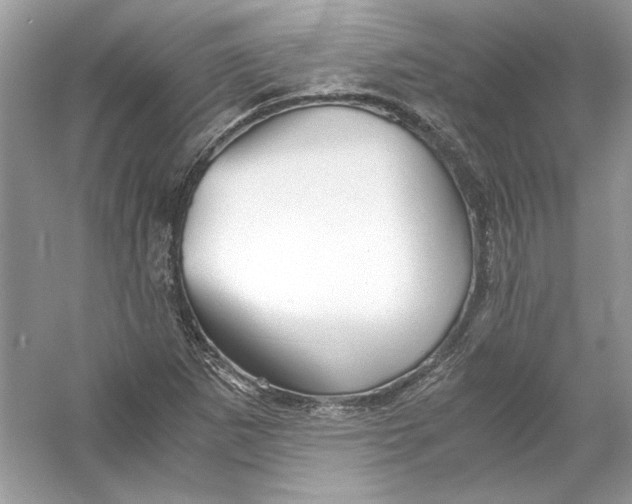 X0000055981265200509162216