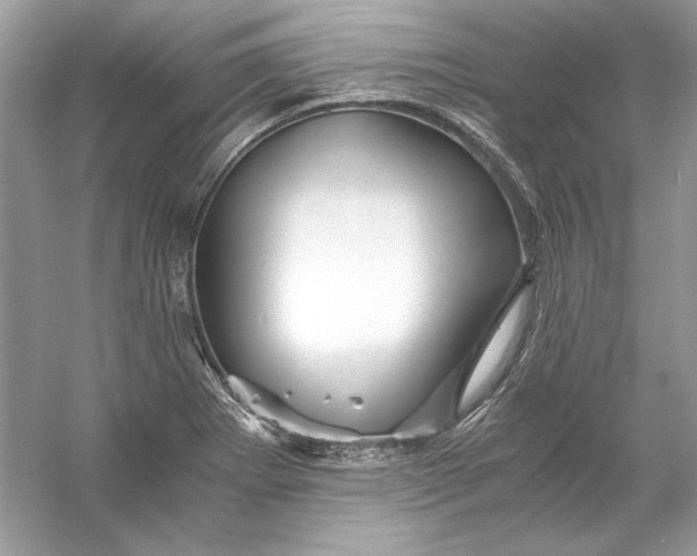 X0000055981273200509162216