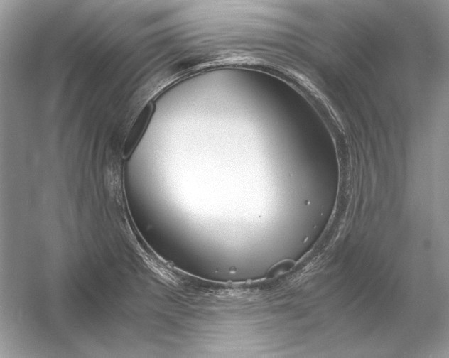 X0000055981281200509162216