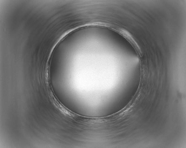 X0000055981292200509162215