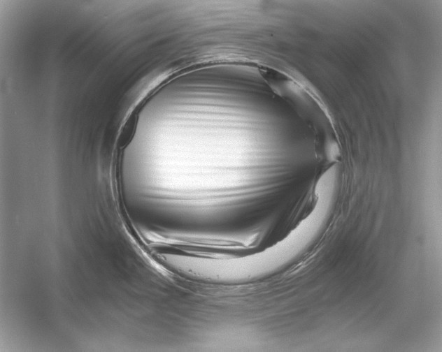 X0000055981293200509162215