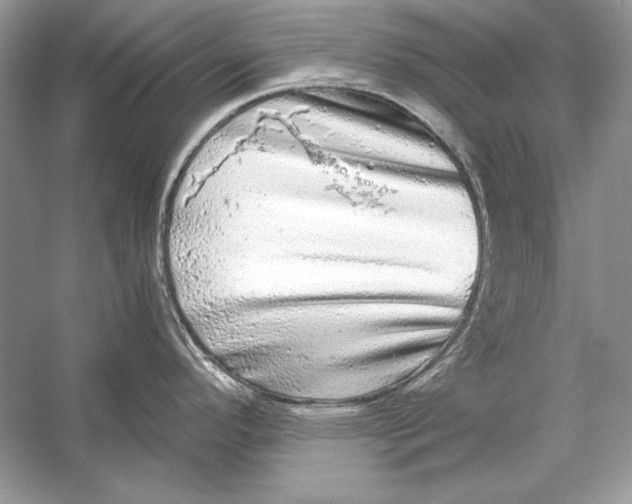 X0000055981296200509162215