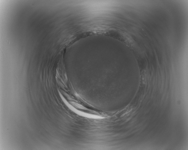 X0000055981298200509162215
