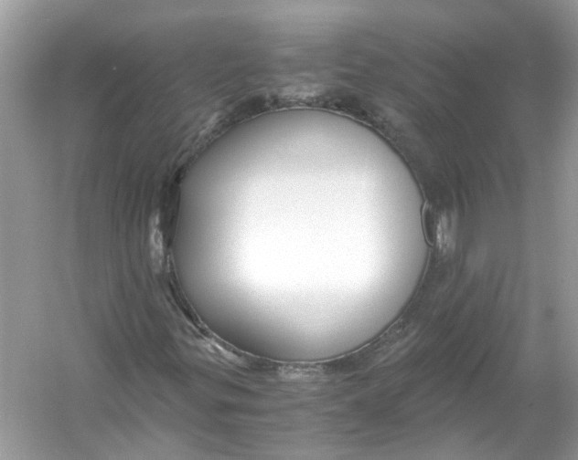 X0000055981299200509162215