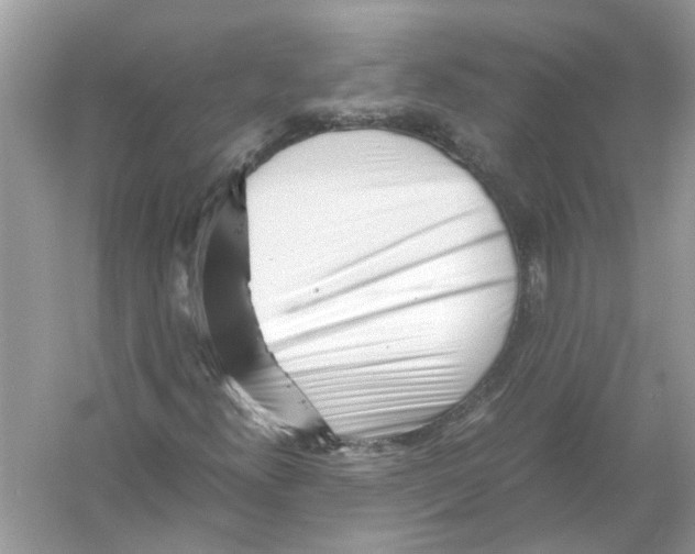X0000055981300200509162215