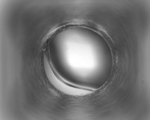 X0000055981304200509162215