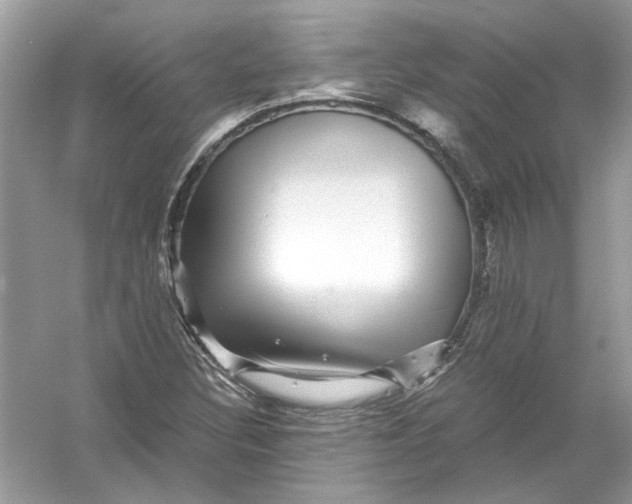 X0000055981308200509162215