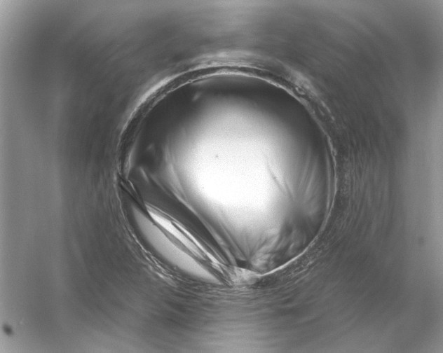 X0000055981312200509162215