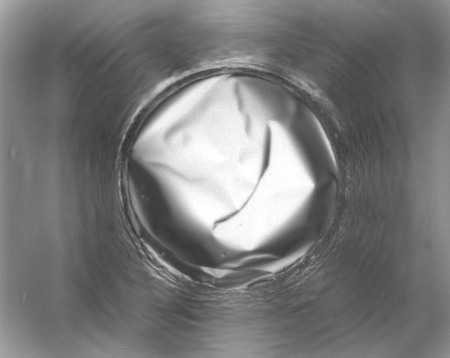 X0000055981316200509162215