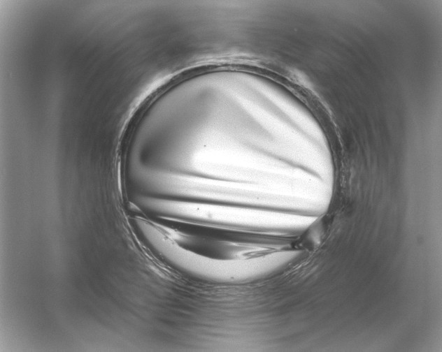X0000055981320200509162215