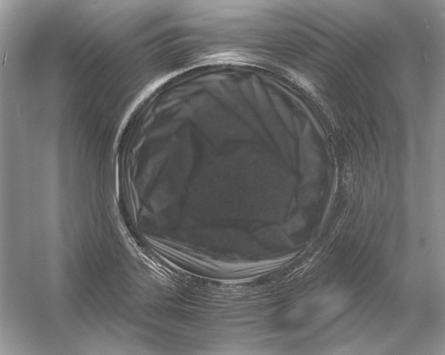 X0000055981323200509162215