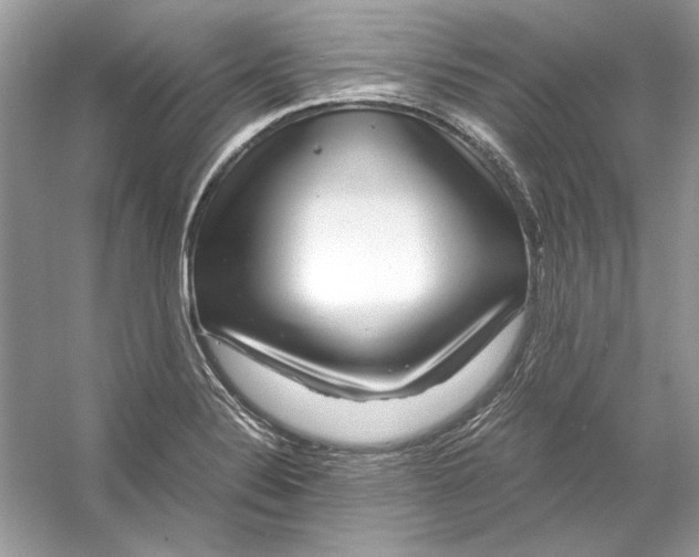 X0000055981324200509162215