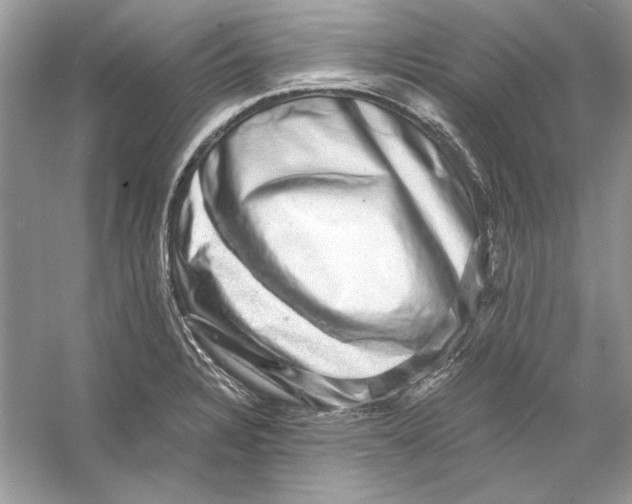 X0000055981328200509162215