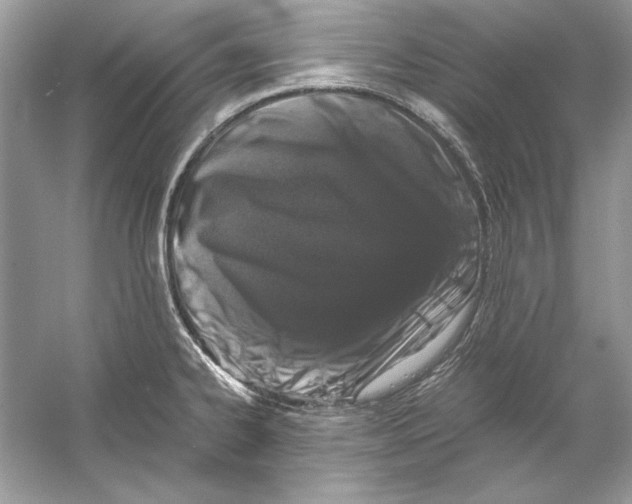 X0000055981334200509162215