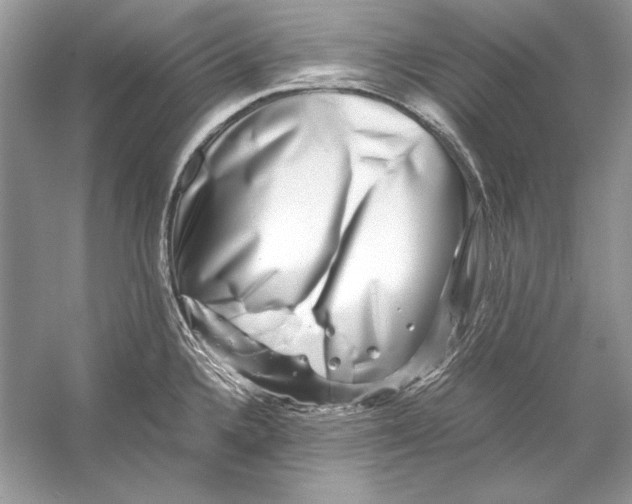 X0000055981336200509162215
