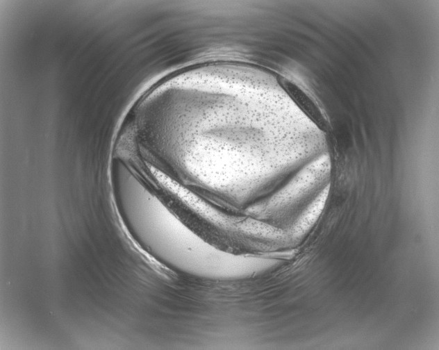 X0000055981339200509162215