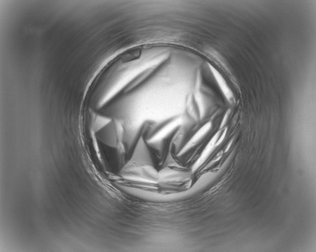X0000055981340200509162215