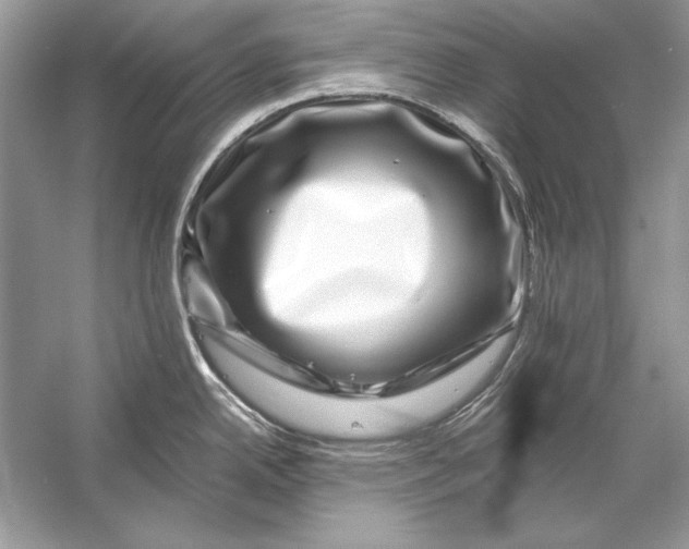 X0000055981342200509162215
