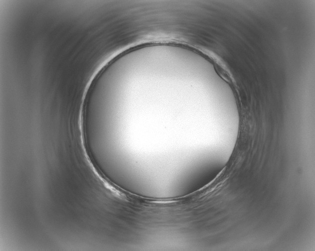 X0000055981343200509162215