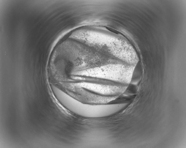 X0000055981344200509162215