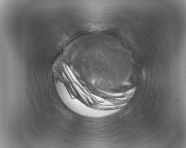 X0000055981348200509162214