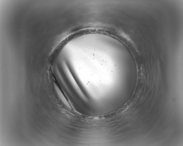 X0000055981352200509162214