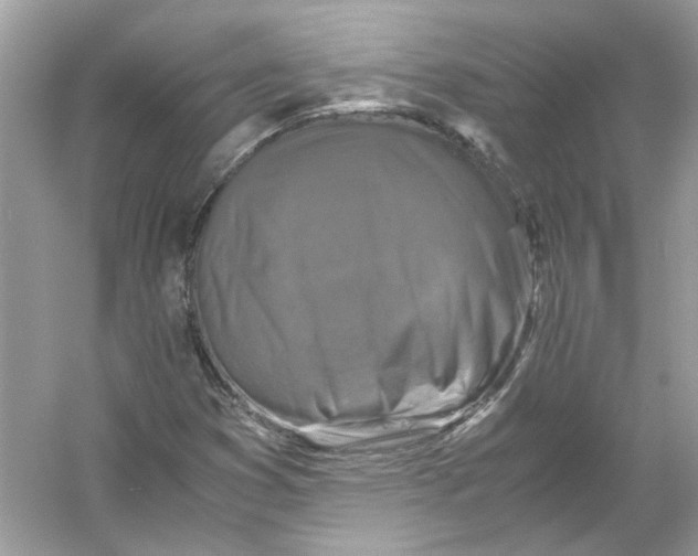 X0000055981353200509162214